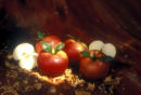 apples still life 